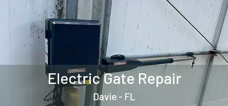 Electric Gate Repair Davie - FL