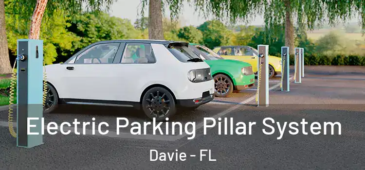 Electric Parking Pillar System Davie - FL