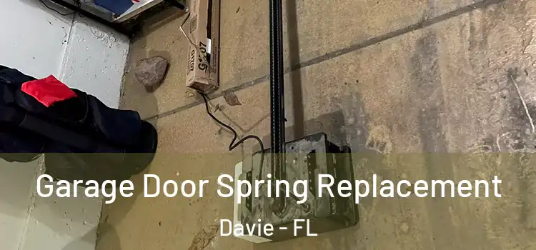 Garage Door Spring Replacement Davie - FL