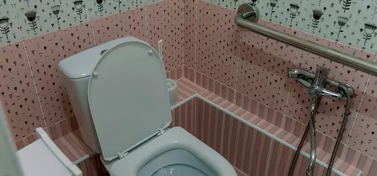 Meeting Diverse Needs With Accessible Restroom Solutions in Davie, FL