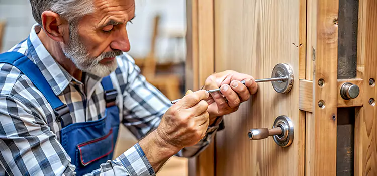 Mortise Replacement Lock Davie