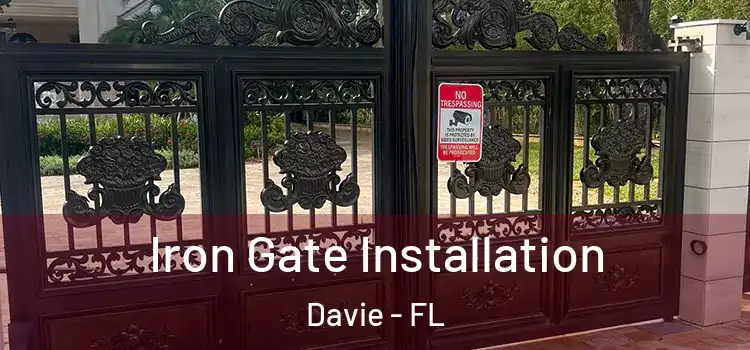 Iron Gate Installation Davie - FL