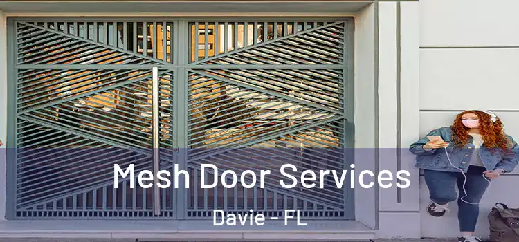 Mesh Door Services Davie - FL