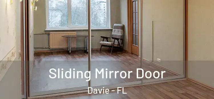  Sliding Mirror Door Davie - FL